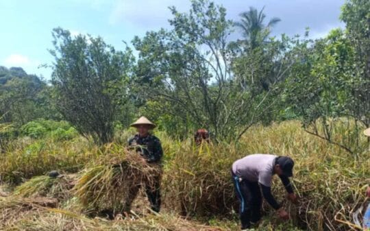 Sertu Bambang, Sosok di Balik Semangat Petani Desa Samar