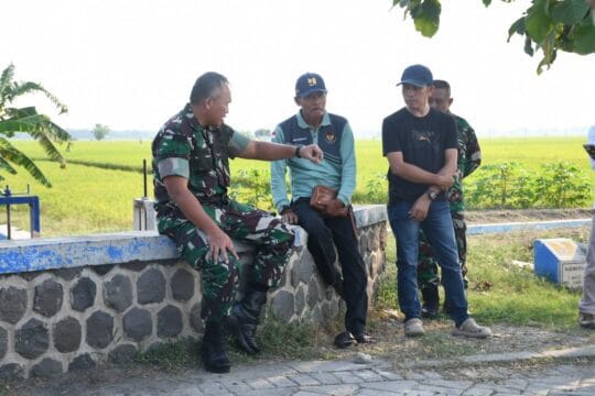 Danrem Untoro Tinjau Pertanian Padi di Ngawi