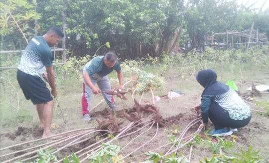 Berbagi dari Kebun Sendiri: Keteladanan Sederhana Letda Isdayun