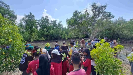 Hutan Dunia di Titik Kritis Usai COP30, LindungiHutan Ajak Publik Bergerak di Hari Pohon Internasional