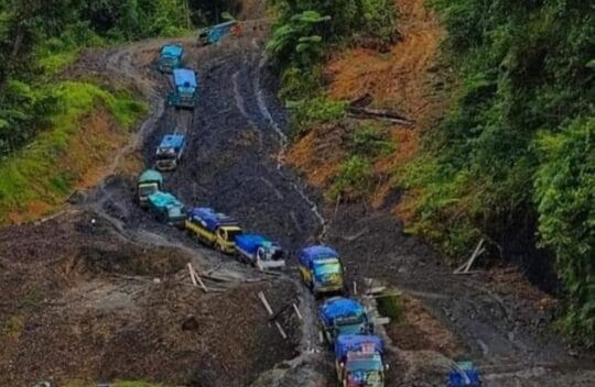 Setengah Abad Trans Papua, Mungkinkah Terselesaikan di Era Prabowo Melalui Menko IPK AHY? 