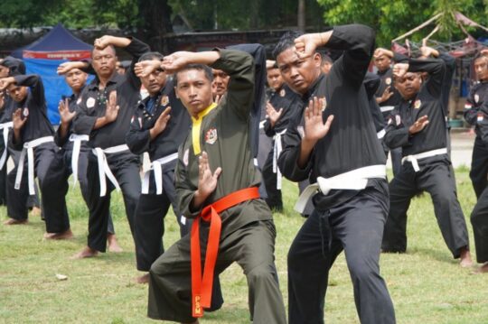 Mengenal Pencak Silat Militer, Beladiri Wajib TNI AD