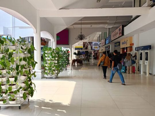 KAI Daop 8 Surabaya Wujudkan Kepedulian Lingkungan melalui Pemeliharaan Ruang Hijau dan Infrastruktur Keselamatan