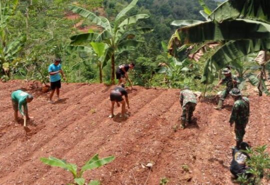 Perkuat Ketahanan Pangan Satgas TMMD 126 Desa Petungsinarang Menanam Sayur Bersama Warga