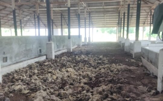 Kilang Sagu 4,5 M Mangkrak, Satgasus KPK Tipikor Desak Kejati Audit Forensik dan Penetapan Tersangka