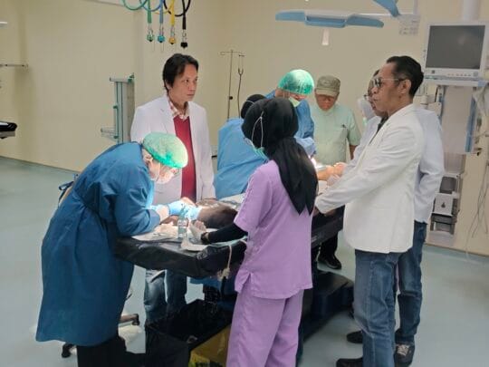 FKH Unair Gelar Kastrasi Kucing Liar, Kendalikan Populasi dan Cegah Zoonosis di Lingkungan Kampus