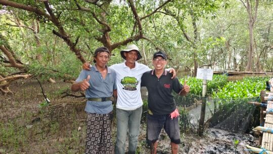 Merespons Tantangan Pembibitan Mangrove, TPS Perkuat Pelestarian Pesisir secara Adaptif