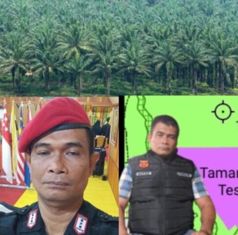 Satgasus KPK Tipikor Desak Satgas PKH Untuk Di Pulihkan Ke kawasan hutan