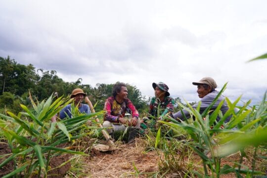 Satgas TMMD Sigap Bantu Warga Angkut Pakan Ternak
