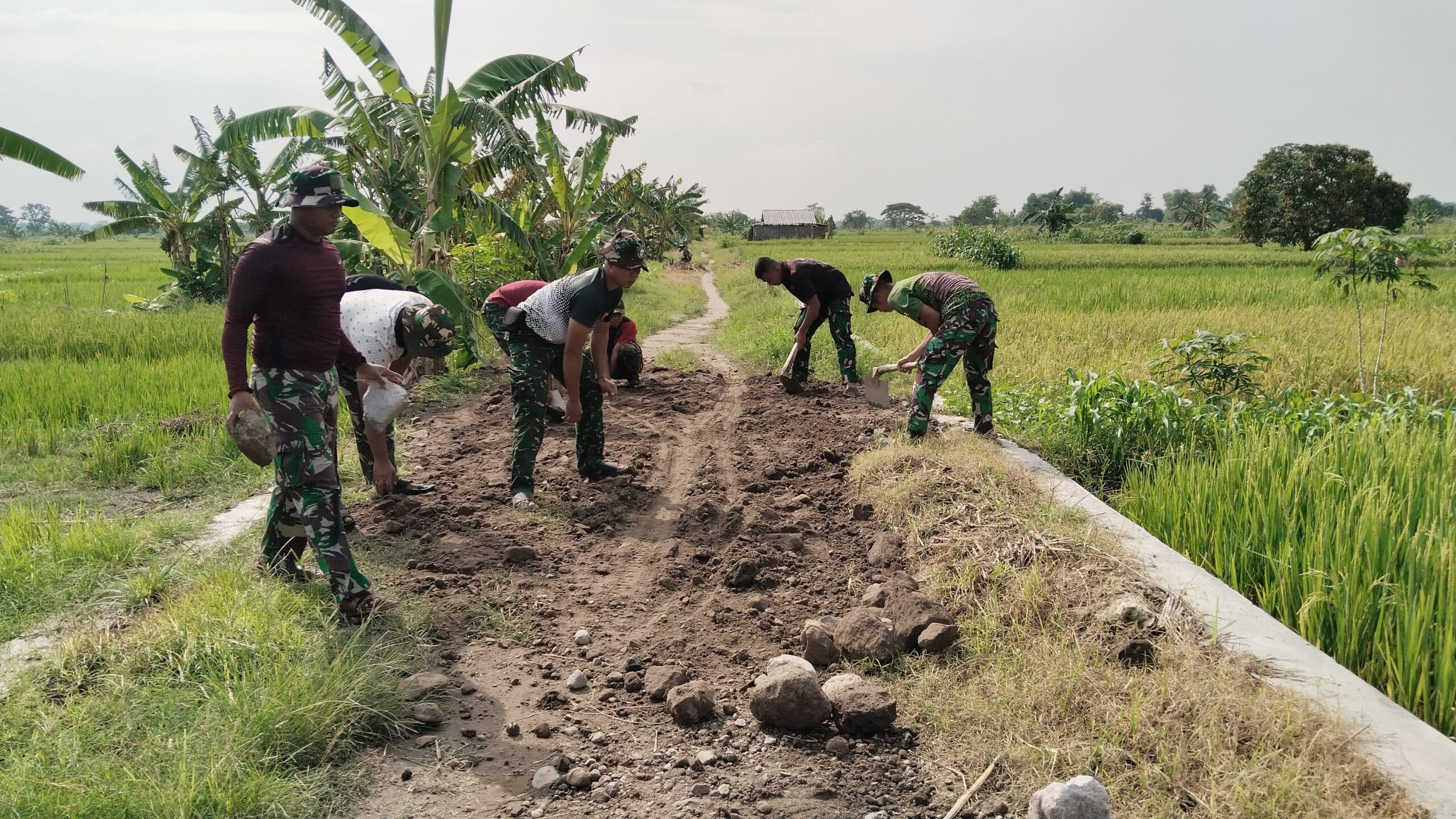 Gotong Royong Warnai Pembangunan JUT Desa Lingsir