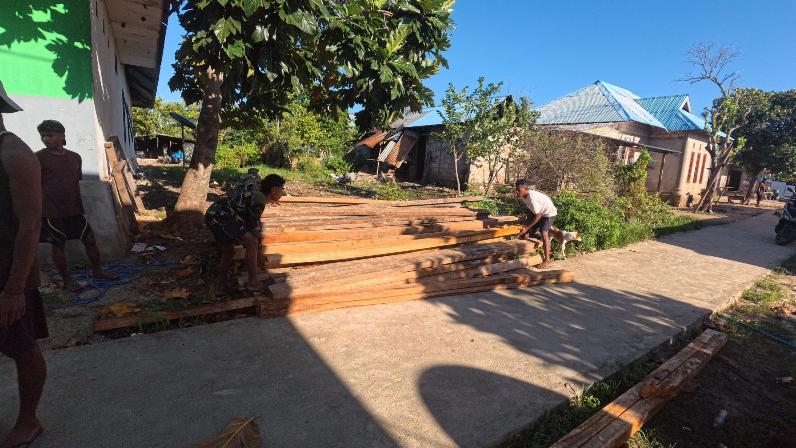 Kayu Glugu Paling Kuat untuk Atap Rumah