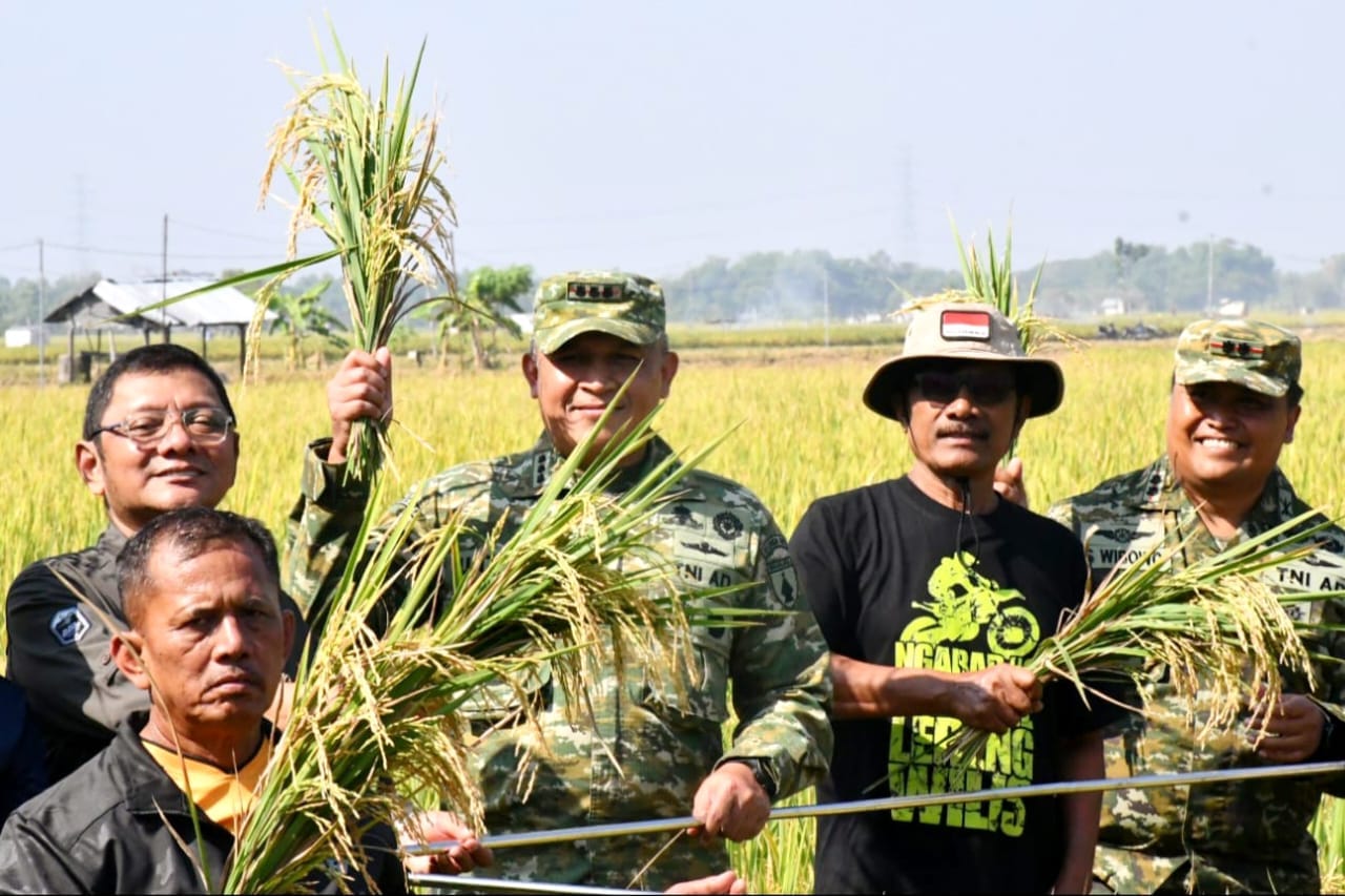 Dorong Inovasi Pertanian, Danrem Tinjau Uji Coba Varietas Padi Baru di Ngawi
