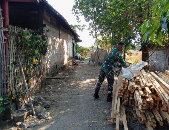 Tumpukan Kayu Dirapikan, Satgas TMMD Matangkan Persiapan Pembongkaran RTLH Ibu Wagini
