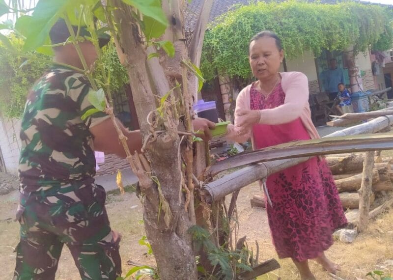 Kopi Tulus Ibu Muji: Bukti Kemanunggalan TNI-Rakyat di TMMD 129 Bojonegoro