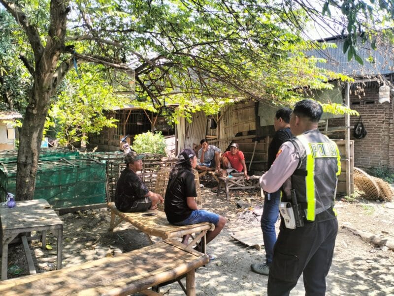 Polsek Taman Respon Cepat Aduan Warga Dugaan Judi Sabung Ayam di Sambibulu
